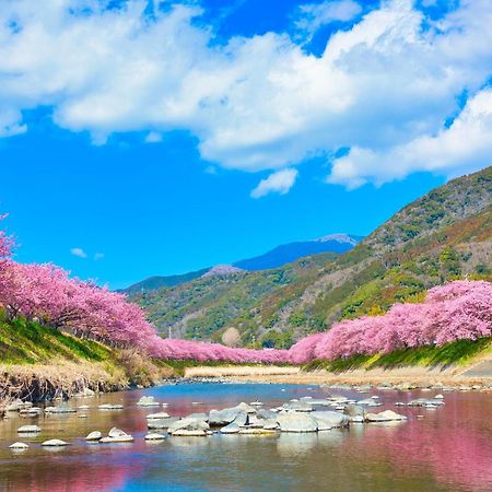 Ramjet Kisami Beach House Shimoda - Enjoy Sakura, Beach And Bbq! المظهر الخارجي الصورة